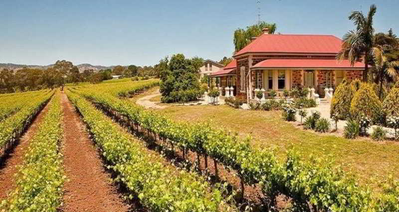 Barossa Shiraz Estate Villa Lyndoch Eksteriør bilde